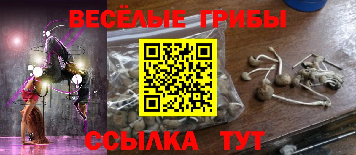 купить  цена  Галлюциногенные грибы Cubensis  Асино  Вход с VPN  Псилоцибиновые грибы ЛСД 