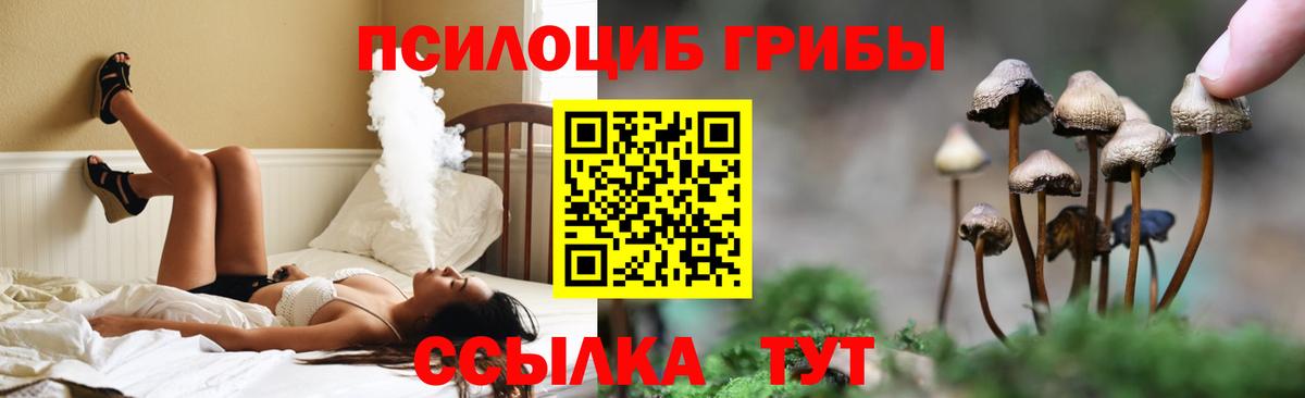 Псилоцибиновые грибы GOLDEN TEACHER Асино